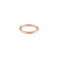 Rose Gold Hinged Ring - link has visual effect only