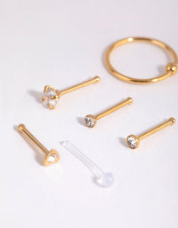 Gold Surgical Steel Mix Stud Ring Nose 6-Pack - link has visual effect only