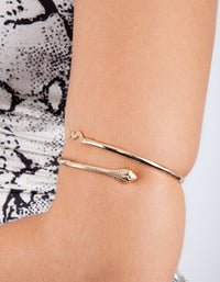 Gold Rattle Snake Arm Cuff - link has visual effect only