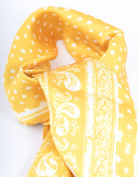 Fabric Paisley Print Scarf - link has visual effect only