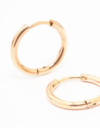 Rose Gold Plated Surgical Steel Thin Hoop Earrings 12mm - link has visual effect only