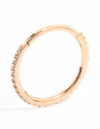 Rose Gold Plated Surgical Steel Large Clicker Ring - link has visual effect only