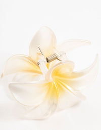 Ombre Plastic Frangipani Claw Clip - link has visual effect only