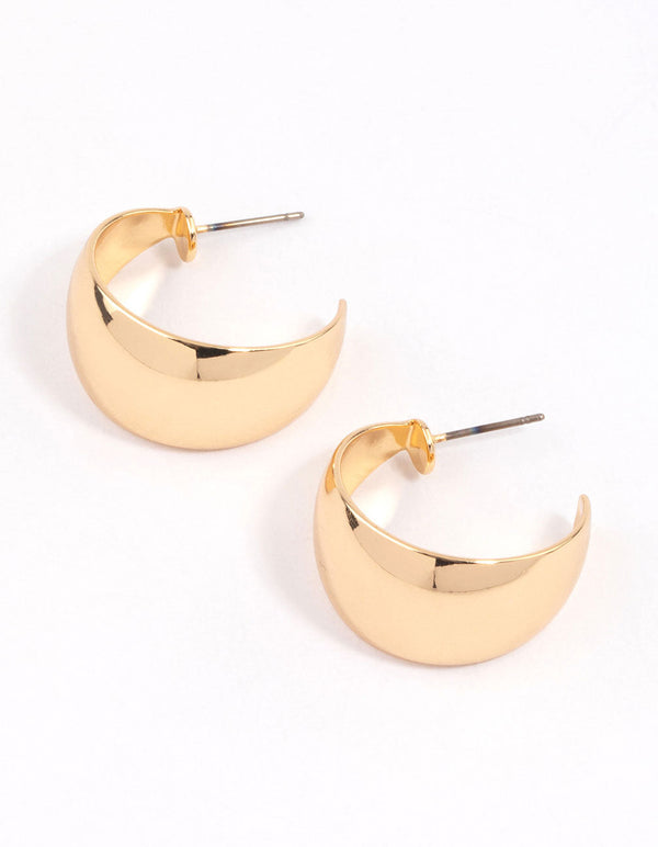Gold Hoops  Gold Silver Small  Chunky Hoop Earrings  Accessorize UK